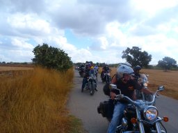 XIX Concentracion - 2012